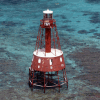 Carysfort Lighthouse In Key Largo