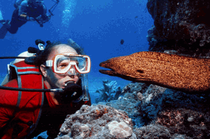 Dry Tortugas