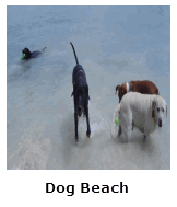 Click For More Info On Dog Beach