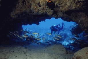 French Reef Cave Opening
