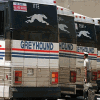 Greyhound 