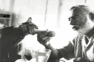 Hemingway And Polydactyl Cat