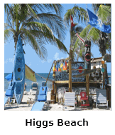 Click Here For More On Higgs Beach