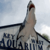 Key West Attractions