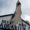 Key West Aquarium