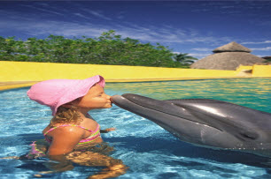 Dolphin Eco Tours