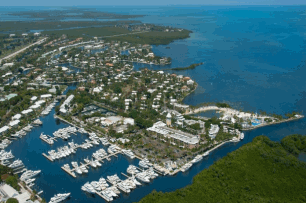 ocean reef yacht club key largo photos