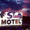 Siesta Hotel In Marathon