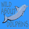 Click Here For More Information On Wild About Dolphins