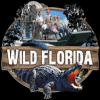 Click For More On Wild Florida Airboats