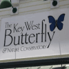 Key West Butterfly Conservatory