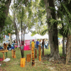 Art Under The Oaks