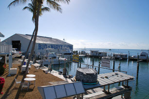 Bud N Marys In Islamorada