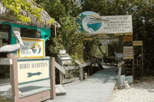 Florida Keys Wild Bird Center