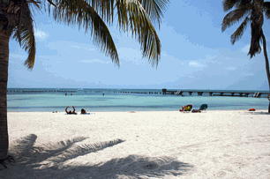 Higgs Beach Clothing Optional Key West