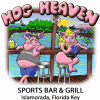 Hog Heaven Islamorada Bars