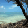 Islamorada Attractions Indian Key