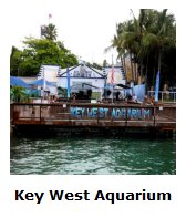 Click Here For More On The Key West Aquarium