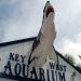 Click Image For More On Key West Aquarium 