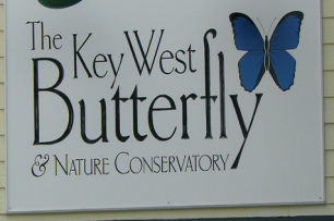 Key West Butterfly Conservatory