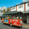 Trolley Tours