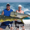 Seahorse Charters