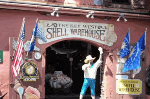 Shell Warehouse