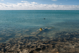 Snorkeling At Sombrero Beach