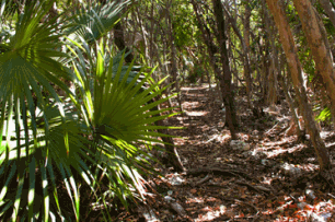 Crane Point Trails