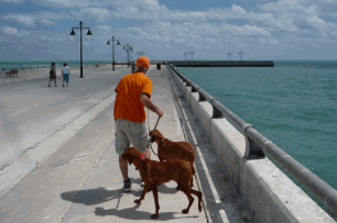 White Pier Key West Higgs Beach