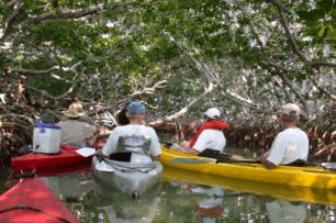 Eco Tours In The Florida Keys